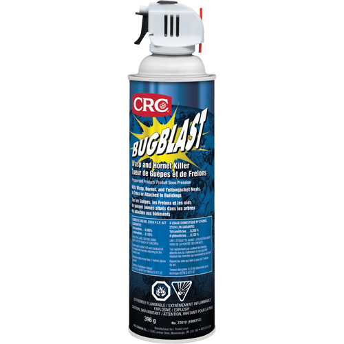 Insecticide Bug Blast, 397 g, &agrave; base de solvant St. Lawrence Industrial & Safety Supply