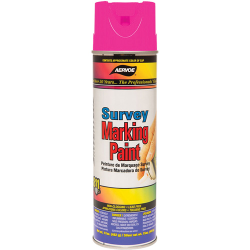 Peinture de marquage &agrave; base de solvant, 17 oz, Canette a&eacute;rosol St. Lawrence Industrial & Safety Supply