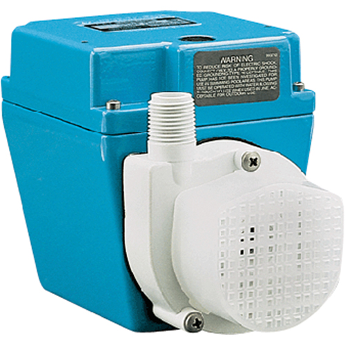 Pompes &agrave; double usage, 1/15 CV, 500 gal./h, 115 V, 3,2 A St. Lawrence Industrial & Safety Supply