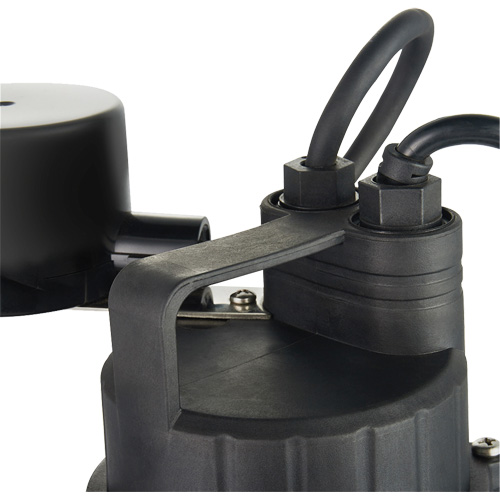Pompe de puisard submersible thermoplastique, 2560 gal./h, 115 V, 4,6 A, 1/3 CV St. Lawrence Industrial & Safety Supply