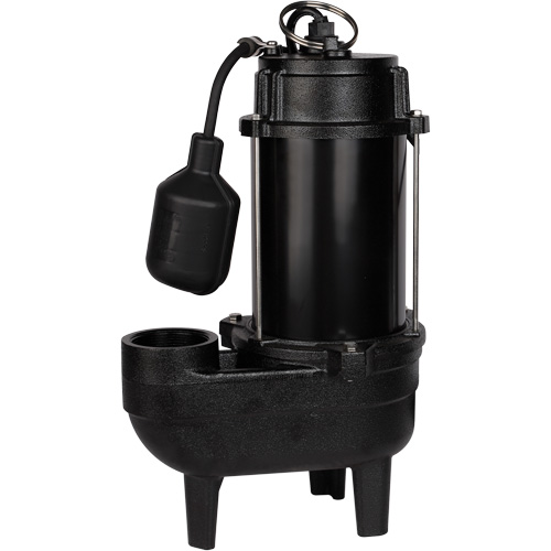 Cast Iron Sewage Pump, 120 V, 9.5 A, 6000 GPH, 1/2 HP St. Lawrence Industrial & Safety Supply