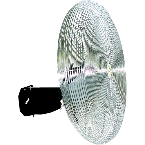 Oscillating Wall fan, Industrial, 3 Speed, 30" Diameter St. Lawrence Industrial & Safety Supply