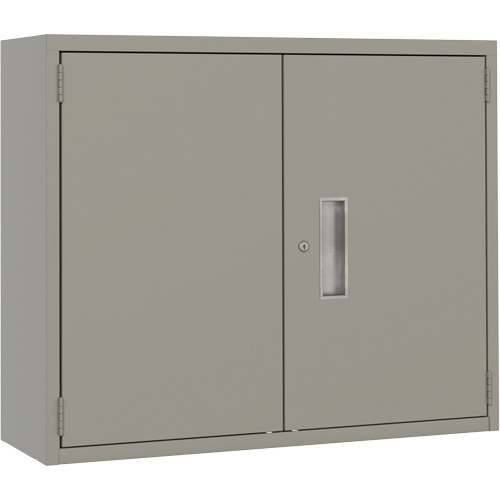 Armoire murale, Acier, 2 Tablettes, 30" h x 36" la x 12" P, Gris St. Lawrence Industrial & Safety Supply