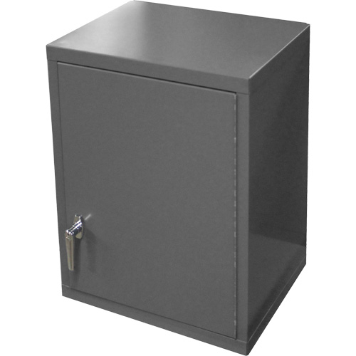 Armoire murale, 27" h x 13-11/16" la x 18" p, 2 tablettes, Acier, Gris St. Lawrence Industrial & Safety Supply