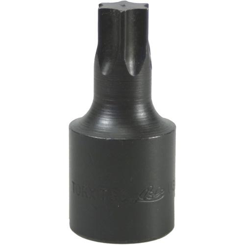 Bit Socket, Torx, T-60, 1/2" Drive St. Lawrence Industrial & Safety Supply