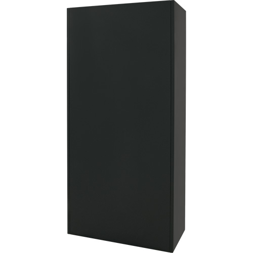 Armoire de rangement combin&eacute;e, 36" la x 18" p x 72" h, Noir St. Lawrence Industrial & Safety Supply