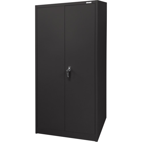 Armoire d'entreposage, Acier, 4 Tablettes, 66" h x 30" la x 15" P, Noir St. Lawrence Industrial & Safety Supply