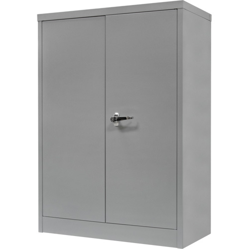 Counter-High Storage Cabinet, Steel, 2 Shelves, 42" H x 30" W x 15" D, Grey St. Lawrence Industrial & Safety Supply