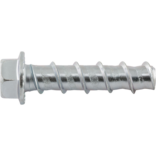 Wedge Bolts, Carbon Steel, 1/2" x 2-1/2" St. Lawrence Industrial & Safety Supply