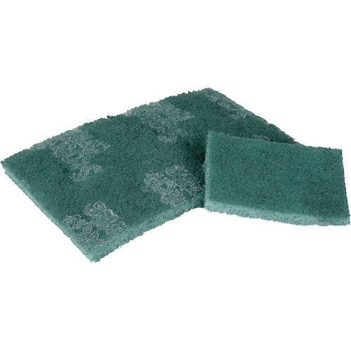 Tampon de r&eacute;curage, 3" lo x 4-1/2" la St. Lawrence Industrial & Safety Supply
