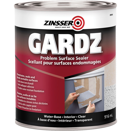 Scellant de surface &agrave; probl&egrave;mes Gardz, 3,61 L, Canette, Transparent St. Lawrence Industrial & Safety Supply