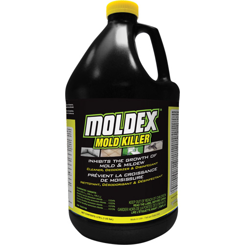 D&eacute;sinfectant contre les moisissures Moldex, 3,78 L, Cruche St. Lawrence Industrial & Safety Supply