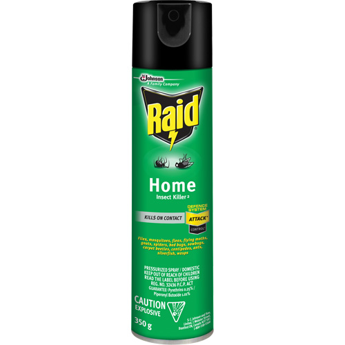 Insecticide pour insectes domestiques Raid, 350 g, &agrave; base de solvant St. Lawrence Industrial & Safety Supply