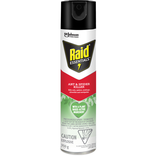 Insecticide pour araign&eacute;es et fourmis Essentials Raid, 350 g, Canette a&eacute;rosol St. Lawrence Industrial & Safety Supply