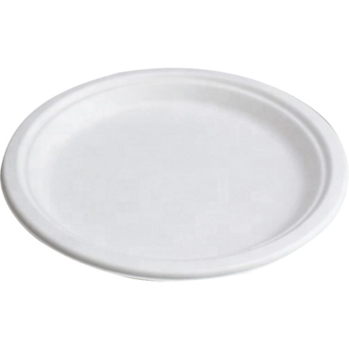 Assiettes compostables St. Lawrence Industrial & Safety Supply