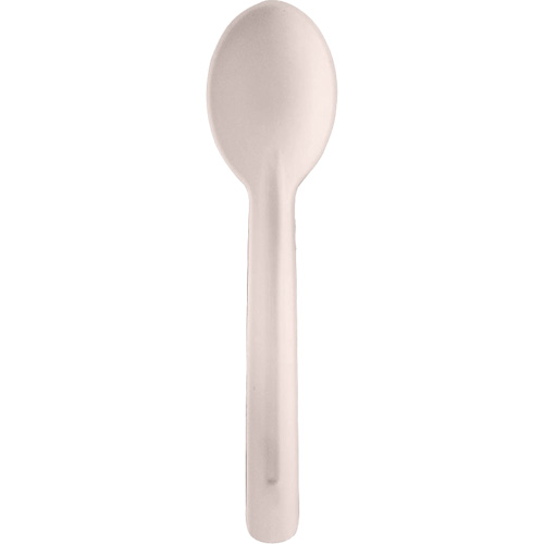 Bagasse Compostable Spoons St. Lawrence Industrial & Safety Supply