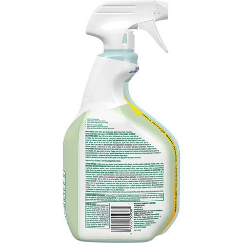 CloroxPro Clorox EcoClean Disinfecting Cleaner, 946 ml, Trigger Bottle St. Lawrence Industrial & Safety Supply