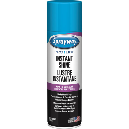 Brillant instantan&eacute; Pro Line pour surfaces en plastique, 11 oz, Canette a&eacute;rosol St. Lawrence Industrial & Safety Supply