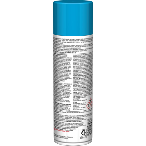 Brillant instantan&eacute; Pro Line pour surfaces en plastique, 11 oz, Canette a&eacute;rosol St. Lawrence Industrial & Safety Supply