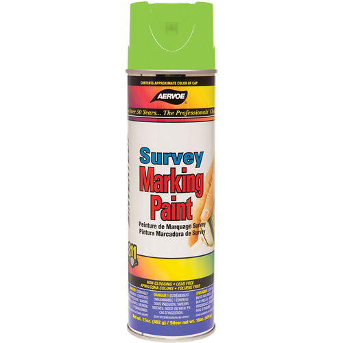 Peinture de marquage polyvalente, 17 oz, Canette a&eacute;rosol St. Lawrence Industrial & Safety Supply
