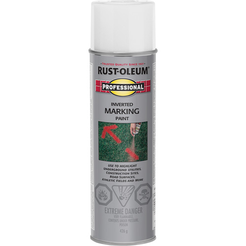 Inverted Marking Paint Spray, 426 g, Aerosol Can St. Lawrence Industrial & Safety Supply