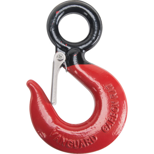 Crochet de palan avec c&acirc;ble m&eacute;tallique Black Eye St. Lawrence Industrial & Safety Supply