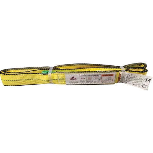 &eacute;lingue en sangle de polyester, Pli Double, Oeillets renvers&eacute;s, Type 4, 2" la x 8' lo, Capacit&eacute; verticale 6400 lb St. Lawrence Industrial & Safety Supply