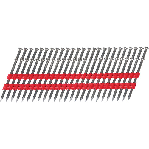 8D Collated Duplex Nails St. Lawrence Industrial & Safety Supply