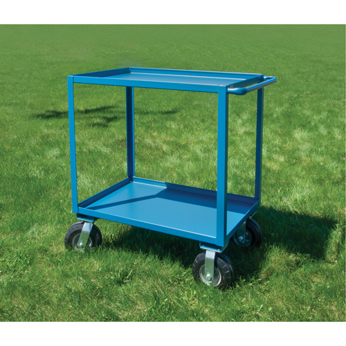 Outdoor Shelf Cart, 2 Tiers, 18" W x 39" H x 33" D, 1200 lbs. Capacity St. Lawrence Industrial & Safety Supply