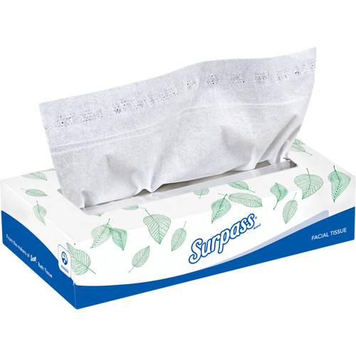 Surpass&reg; Facial Tissue, 2 Ply, 8.3" L x 7.8" W, 100 Sheets/Box St. Lawrence Industrial & Safety Supply