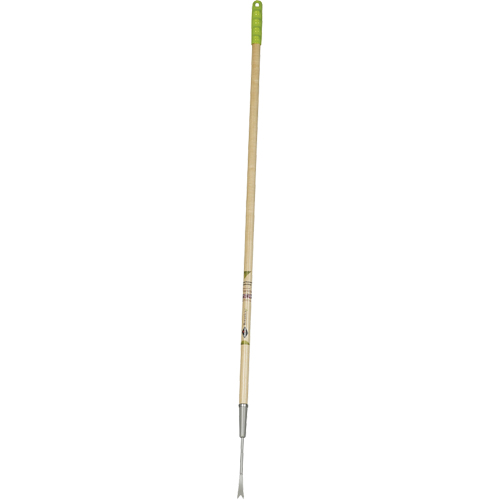 Arrache pissenlits St. Lawrence Industrial & Safety Supply