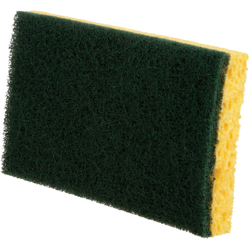 &eacute;ponges utilitaires, Cellulose, 6" la x 3-1/2" l St. Lawrence Industrial & Safety Supply