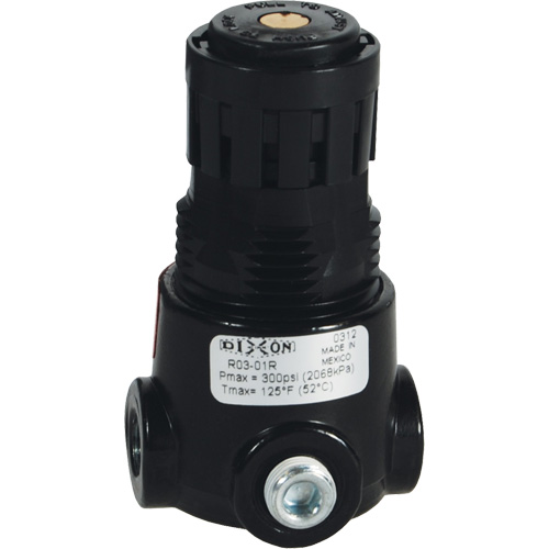 Wilkerson Miniature Regulator R03, 1/8" NPT, 300 psi Max. PSI, Standard St. Lawrence Industrial & Safety Supply