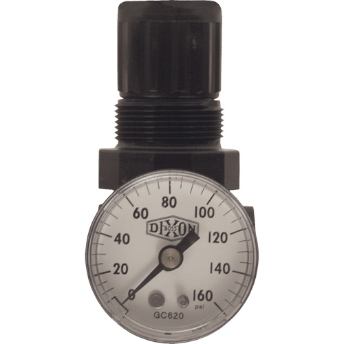 R&eacute;gulateur miniature de s&eacute;rie 1, 1/8" NPT, PSI max. de 100 psi, Standard St. Lawrence Industrial & Safety Supply