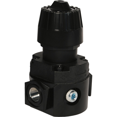 R&eacute;gulateur compact R16 Wilkerson, 1/4" NPT, PSI max. de 300 psi, Standard St. Lawrence Industrial & Safety Supply