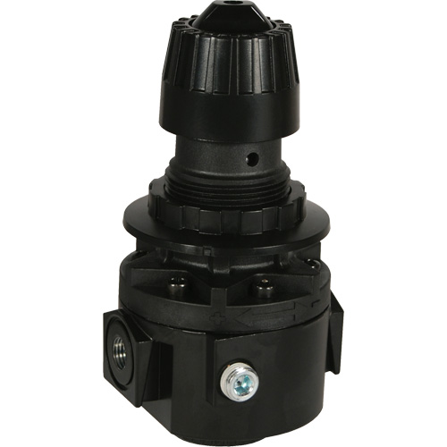 R&eacute;gulateur Wilkerson R26, 1/2" NPT, PSI max. de 300 psi, Standard St. Lawrence Industrial & Safety Supply