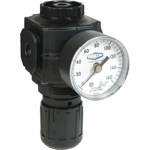 Series 1 Compact Regulator, 1/2" NPT, 150 PSI Max. PSI, Standard St. Lawrence Industrial & Safety Supply