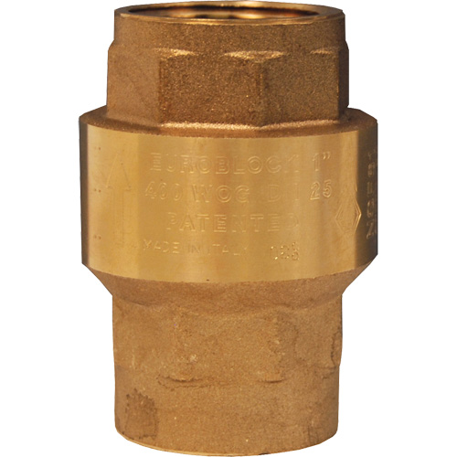 Horizontal Swing Check Valve St. Lawrence Industrial & Safety Supply