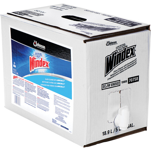 Nettoyant pour vitres Windex avec Ammoniac-D, 5 gal., Sac St. Lawrence Industrial & Safety Supply