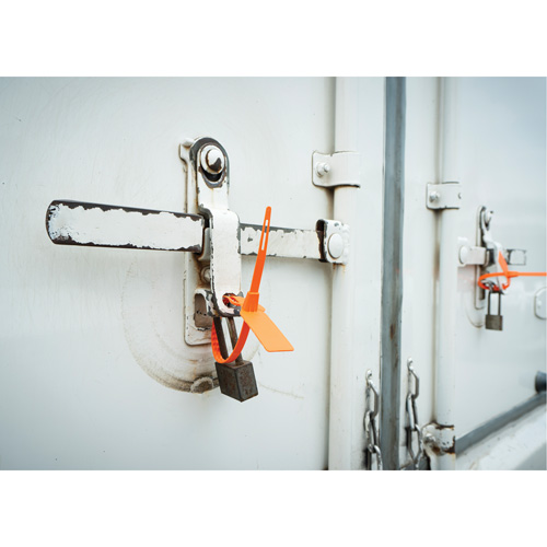 Scell&eacute; de s&eacute;curit&eacute;, 7-3/4", Plastique, Scell&eacute; pour camion St. Lawrence Industrial & Safety Supply