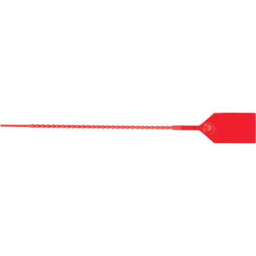 Scell&eacute; de s&eacute;curit&eacute; standard, 9", Plastique, Scell&eacute; en plastique St. Lawrence Industrial & Safety Supply