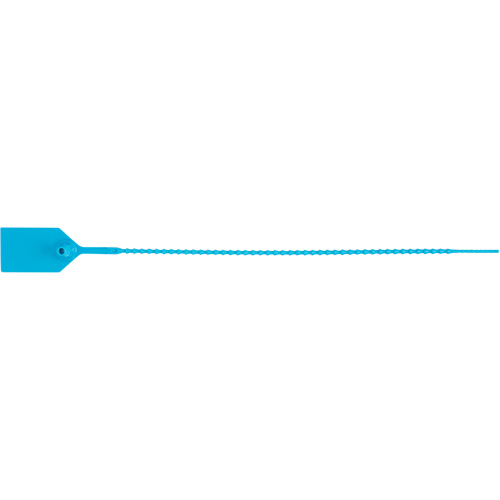 Scell&eacute; de s&eacute;curit&eacute; standard, 12", Plastique, Scell&eacute; en plastique St. Lawrence Industrial & Safety Supply