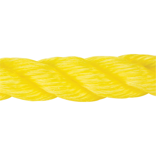 Corde jaune tress&eacute;e, Polypropyl&egrave;ne, 300' St. Lawrence Industrial & Safety Supply