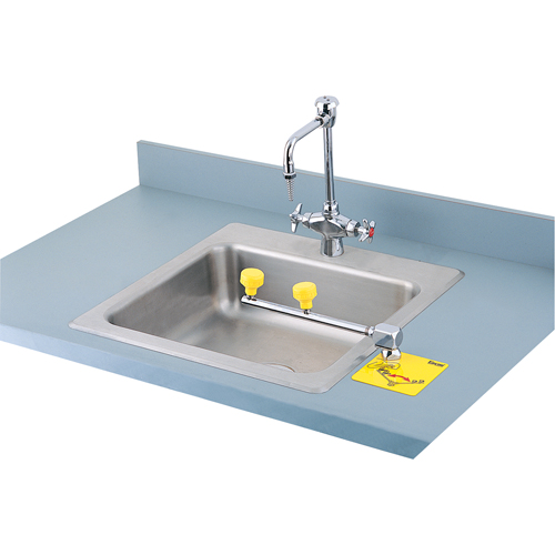 Poste de douche oculaire Swing-Away, Installation Montage sur comptoir St. Lawrence Industrial & Safety Supply