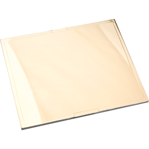 Plaques filtrantes Omni-View en or St. Lawrence Industrial & Safety Supply