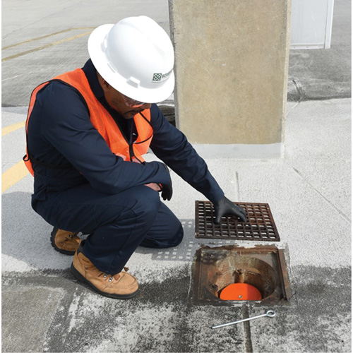 Drain Plug St. Lawrence Industrial & Safety Supply