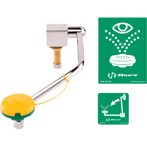 Eye/Face Wash Station, Sink Mount Installation St. Lawrence Industrial & Safety Supply