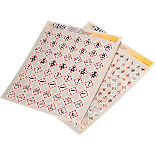 GHS Hazard Pictogram Label Variety Packs, Vinyl, Sheet, 1/2" L x 1/2" W St. Lawrence Industrial & Safety Supply