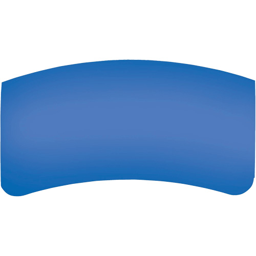 Lentille ext&eacute;rieure Bullard GenVX PETG St. Lawrence Industrial & Safety Supply