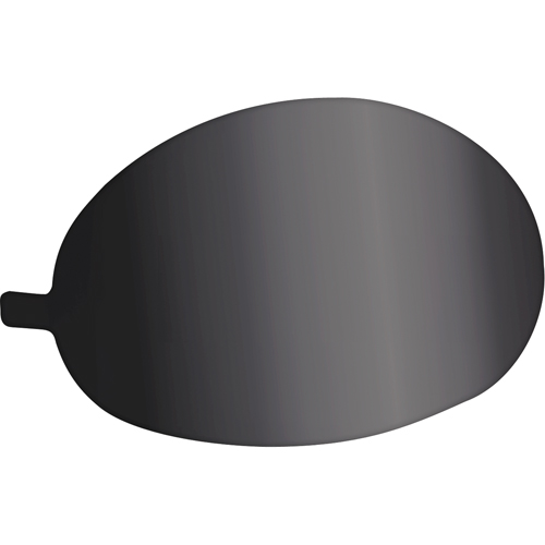 Protecteurs pour lentille teint&eacute;e St. Lawrence Industrial & Safety Supply